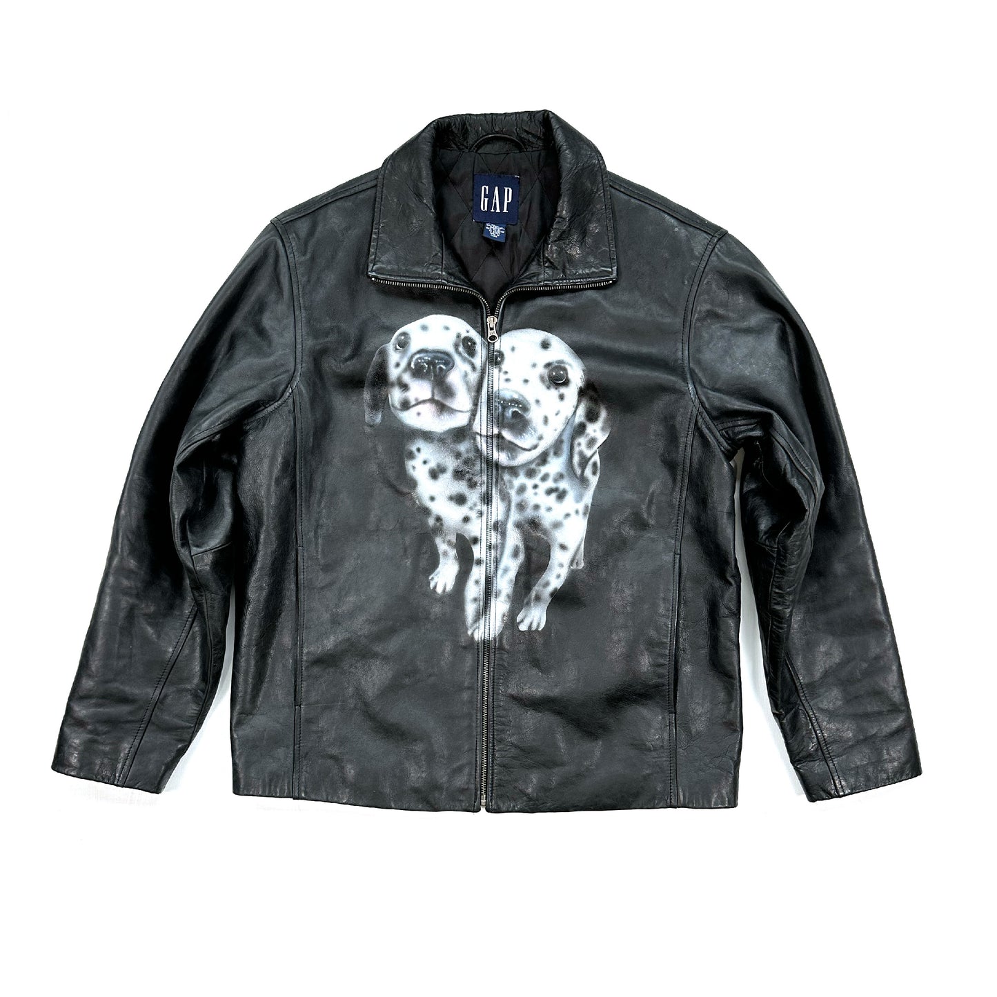 Dalmatian Jacket