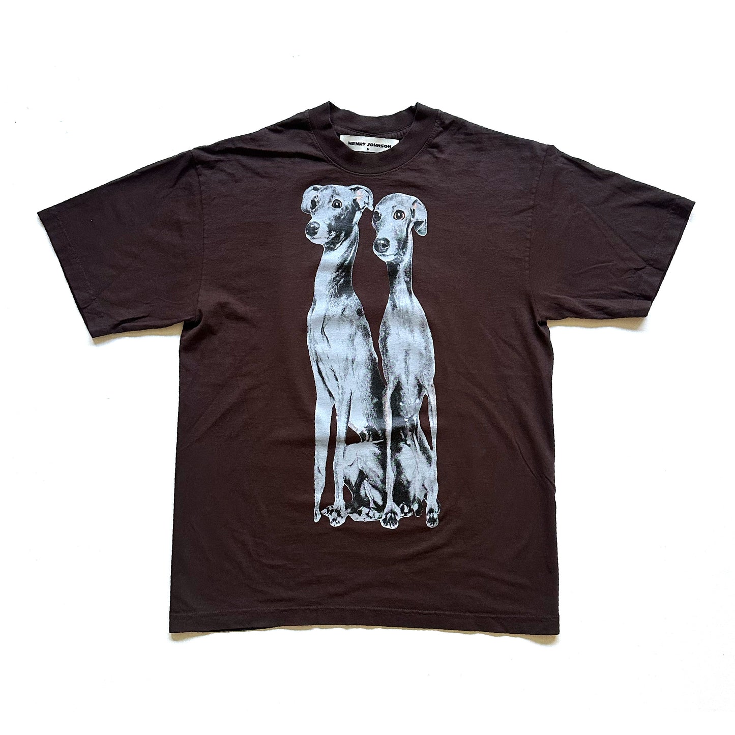 Grayhounds