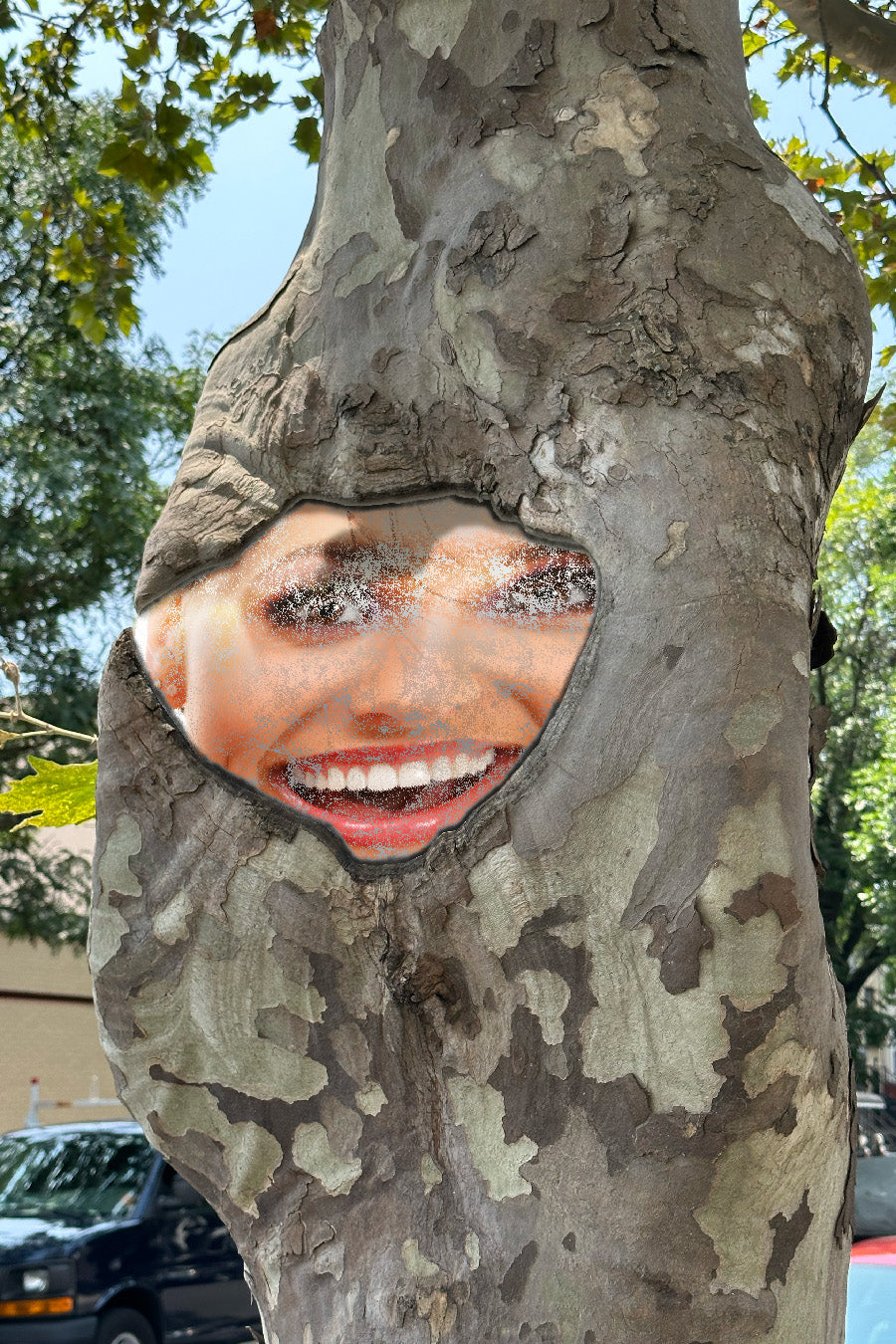 Overlay photo 5