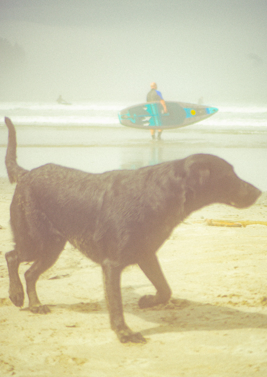 Overlay photo 8