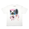 Cat Stamps