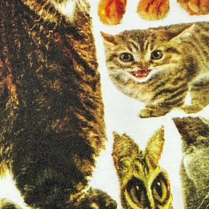 Squished Cats