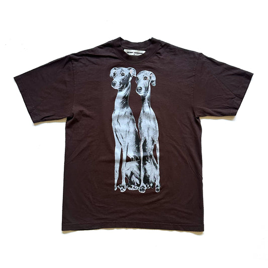Grayhounds