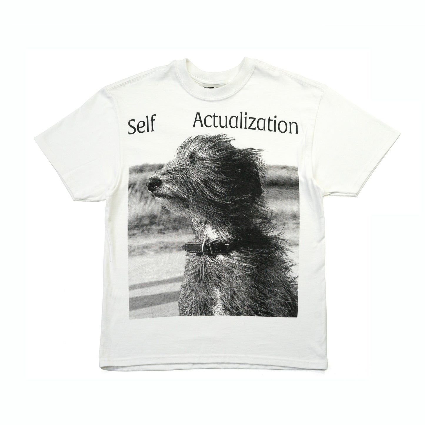 Self Actualization