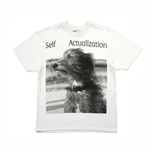 Self Actualization