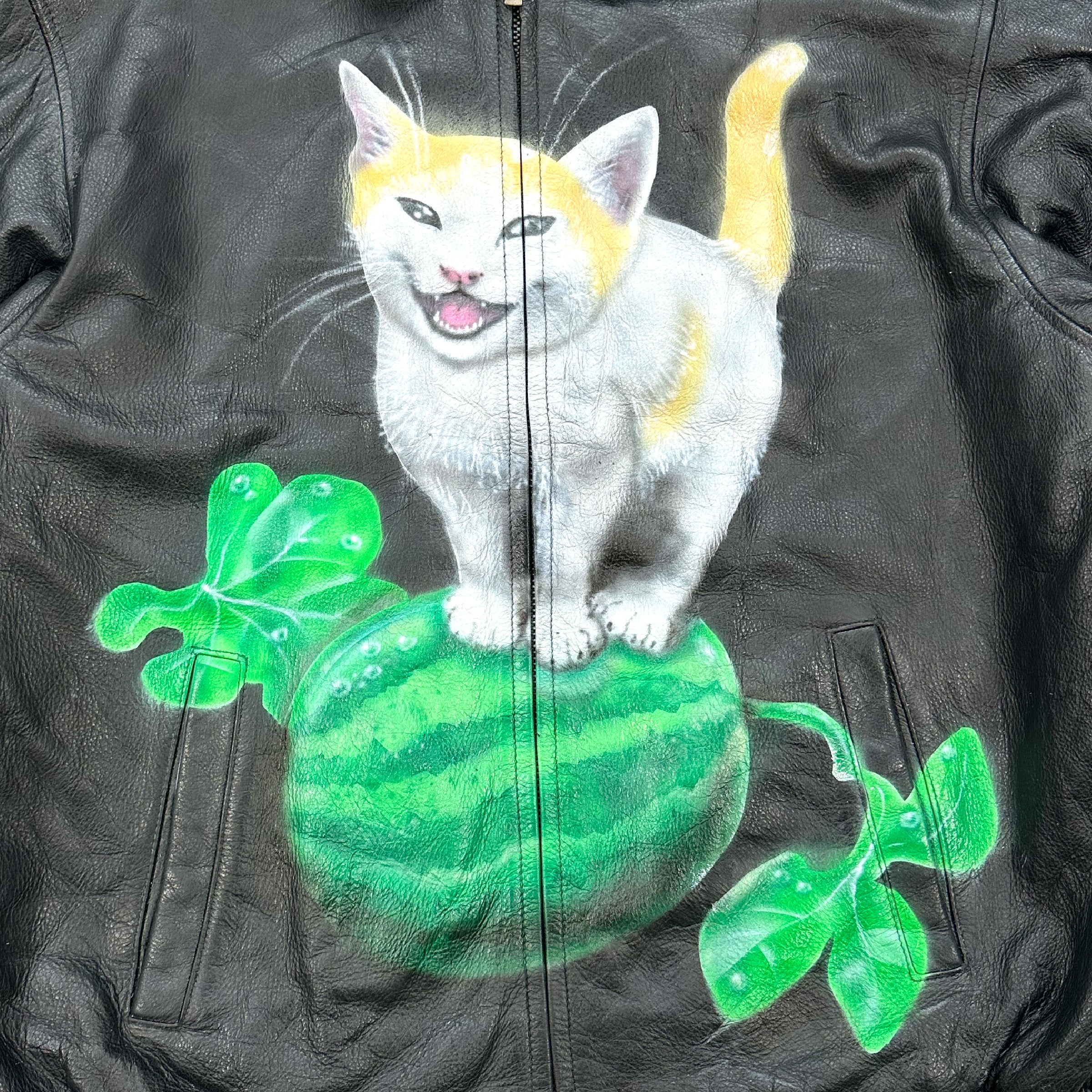 Watermelon Cat Jacket